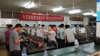 技能培训与技术培训 概念辨析与实践应用